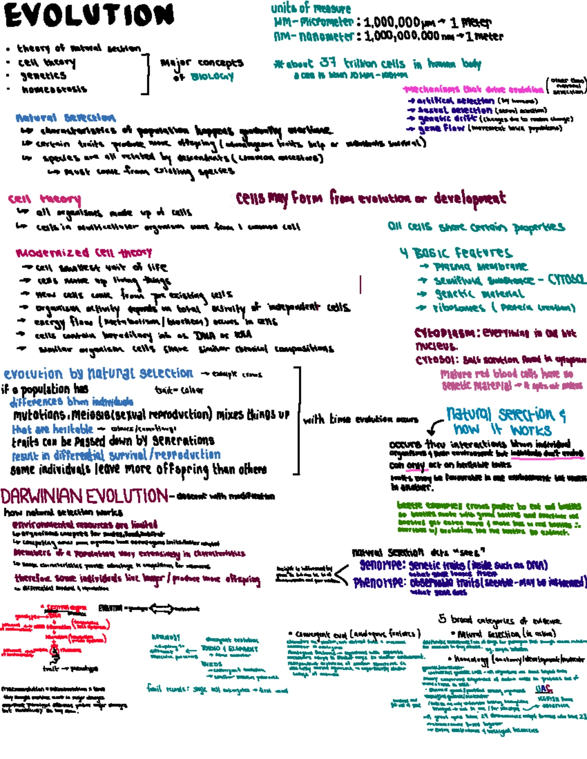 BIO 1000 Midterm 1 Study Notes on Natural Selection and Evolution - Studocu