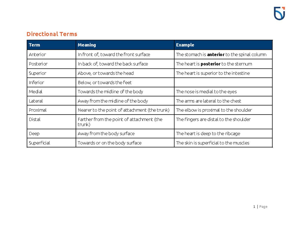 Lec 1 Directional terms and parts of the body - Directional Terms Term ...