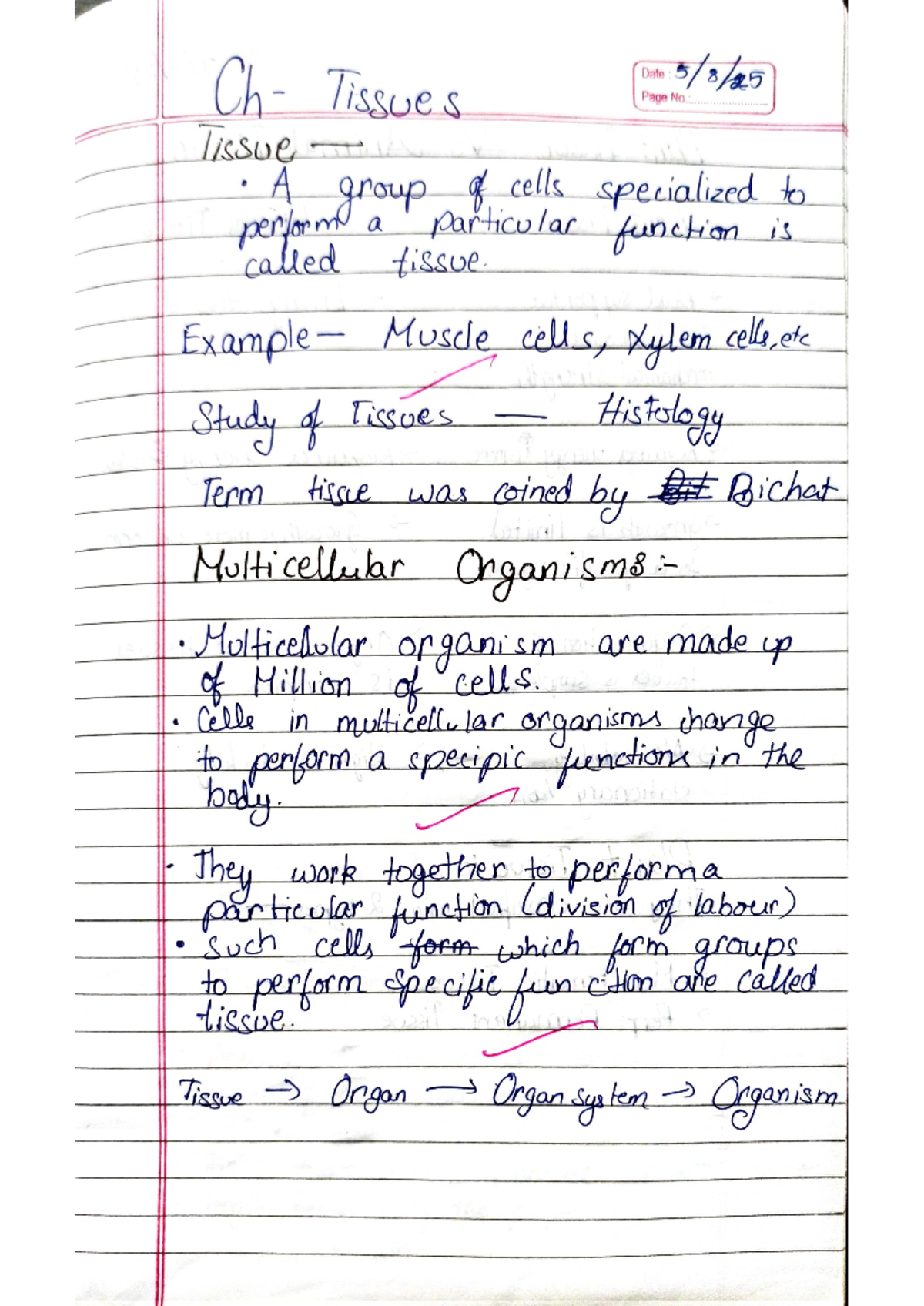 Tissues - Detailed Handwritten Notes for Biology (BIO101) - Studocu
