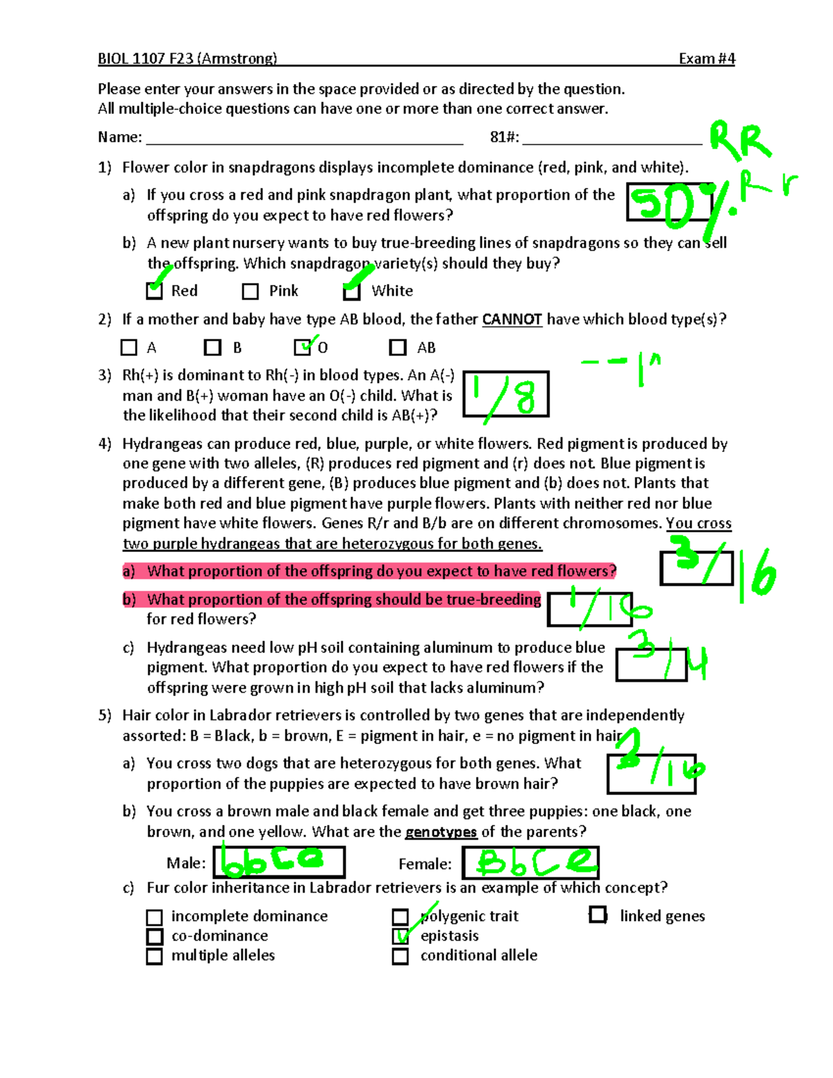 BIOL 1107 F23 (Armstrong) Exam Review: Genetics & Inheritance - Studocu