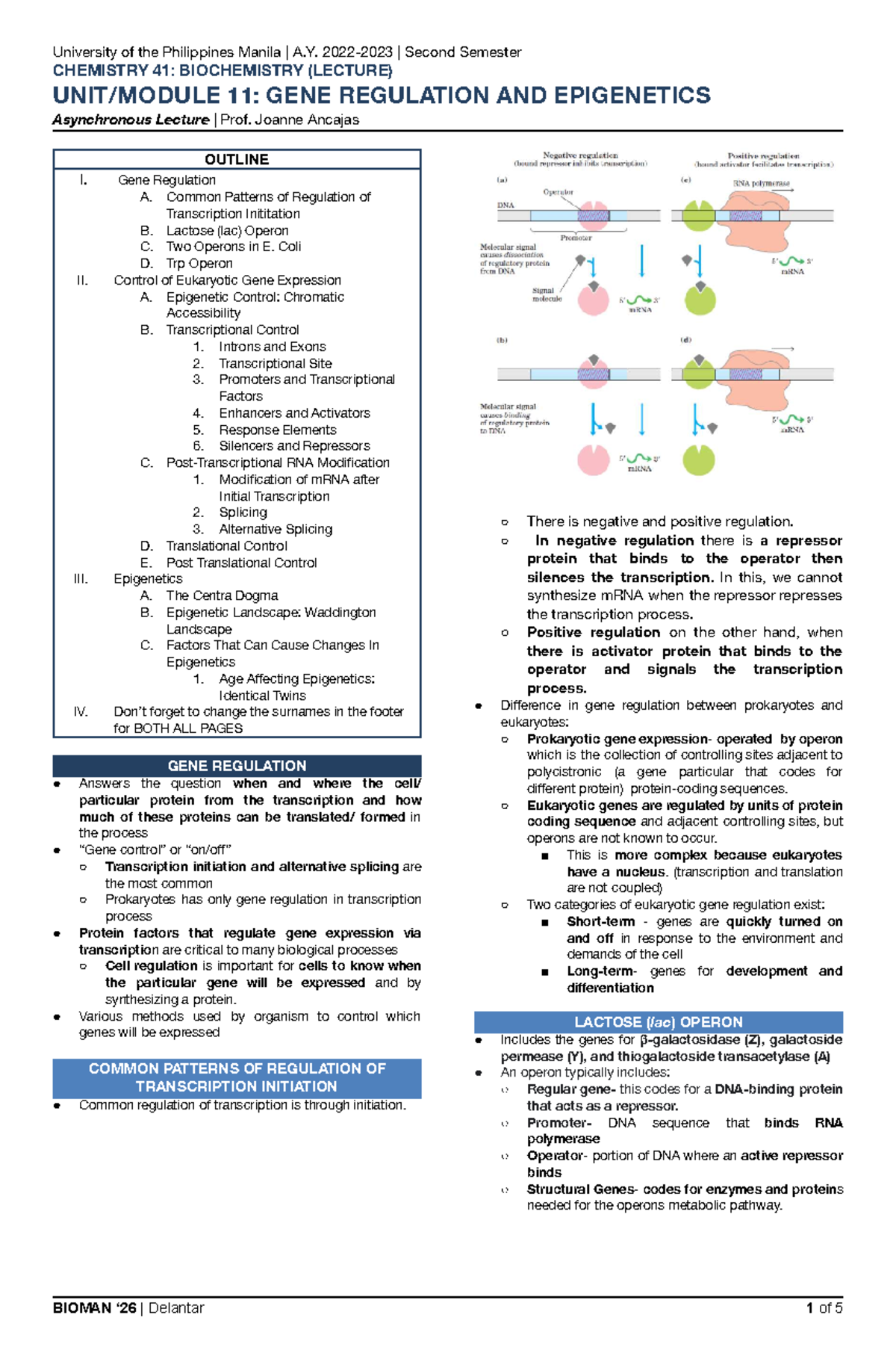 CHEM 41: Biochemistry (Lecture) - Gene Regulation & Epigenetics Outline ...
