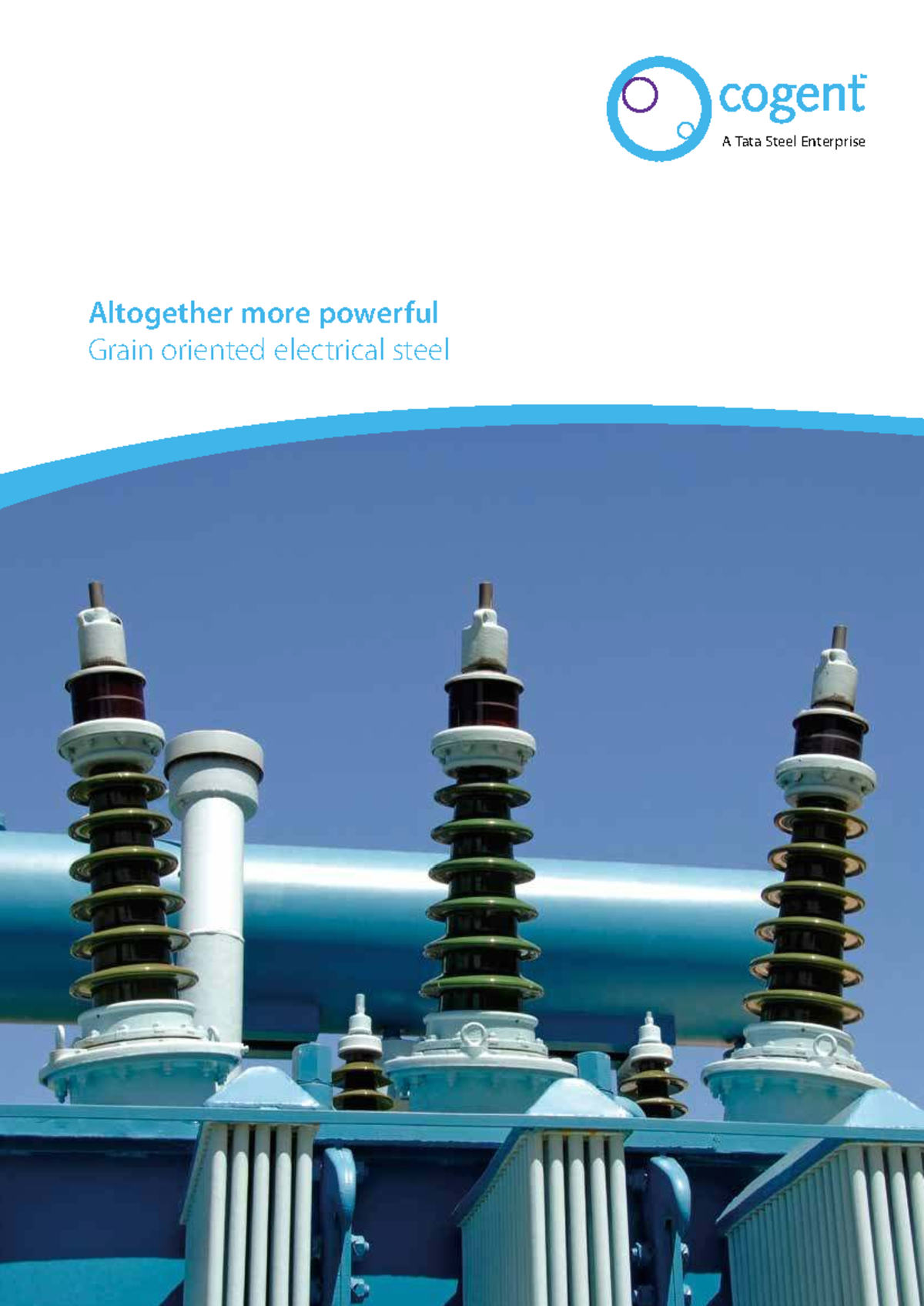 Cogent Power: Grain Oriented Electrical Steel Overview - Studocu