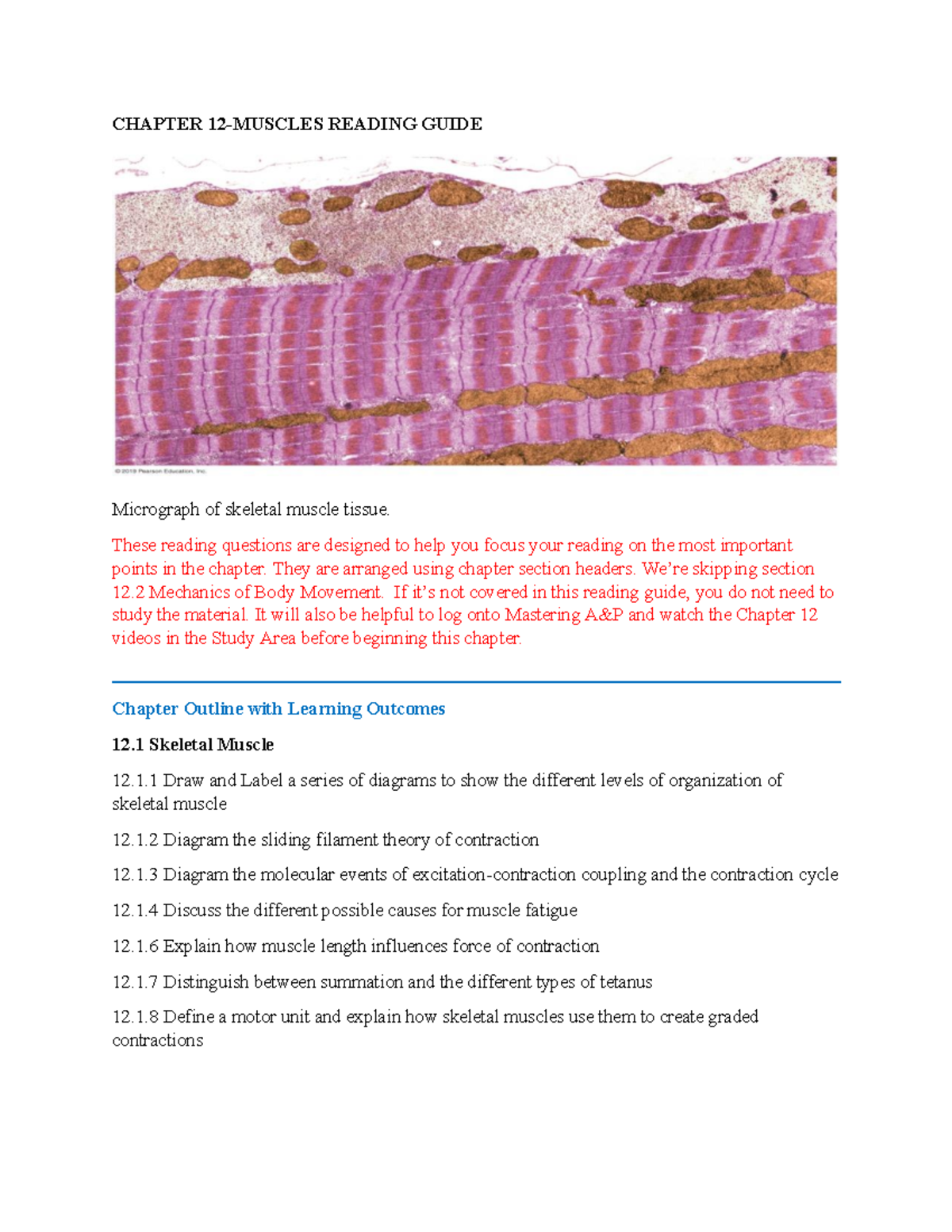 Chapter 12 Muscle Physiology Study Guide & Review Questions - Studocu