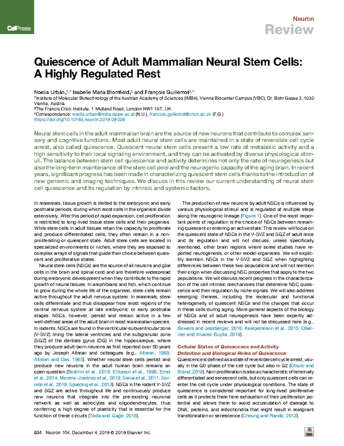 Neuron Review: Quiescence of Adult Mammalian Neural Stem Cells (NSC ...