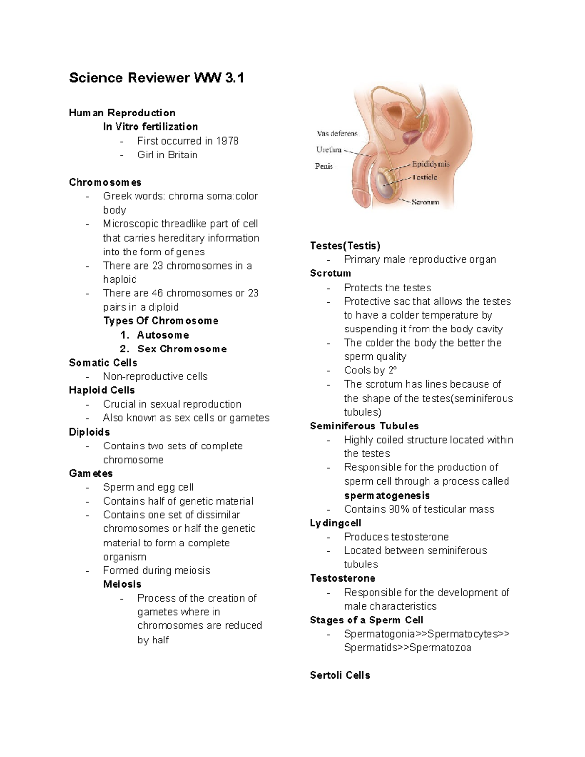Reproductive Systems & Human Reproduction Overview - Sci 10 - Studocu