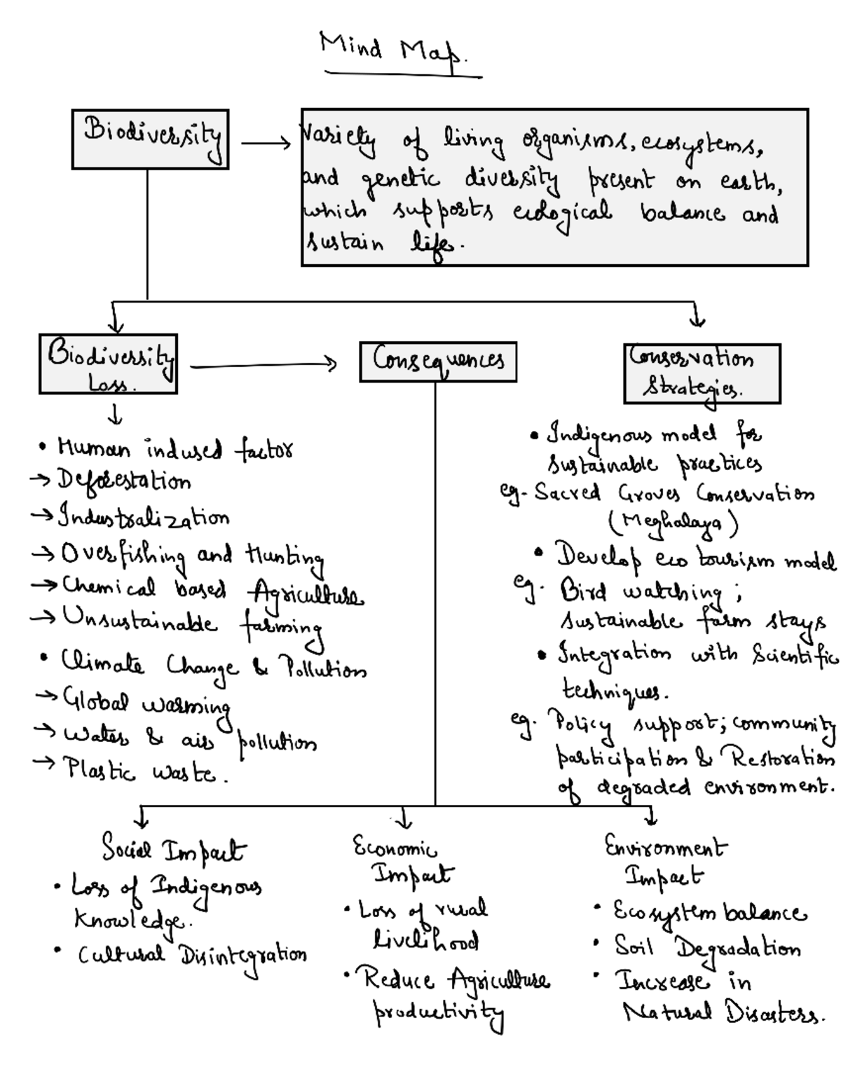 EVS Assignment: Mind Map on Biodiversity and Conservation Strategies ...