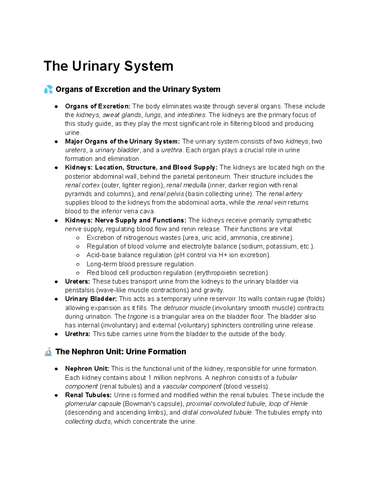 Urinary System Overview: Key Organs & Functions (BIO 101) - Studocu