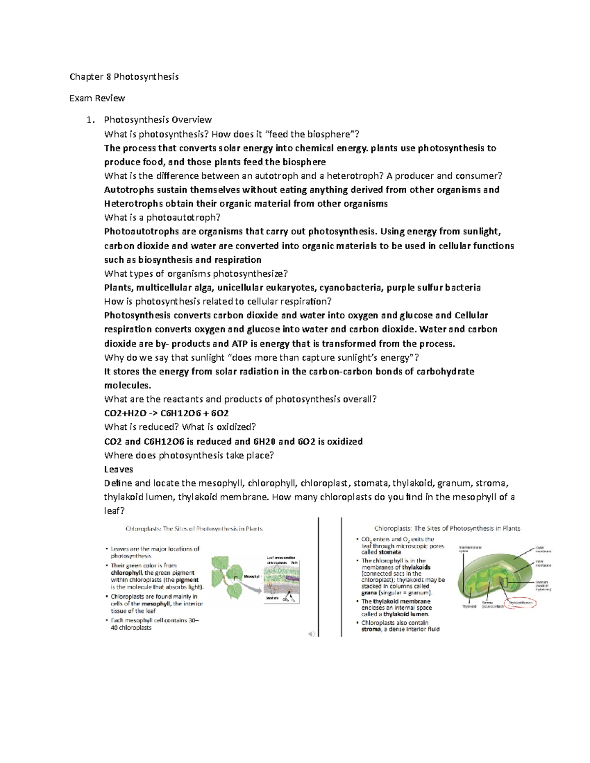Chapter 8 Review Photosynthesis - Chapter 8 Photosynthesis Exam Review ...