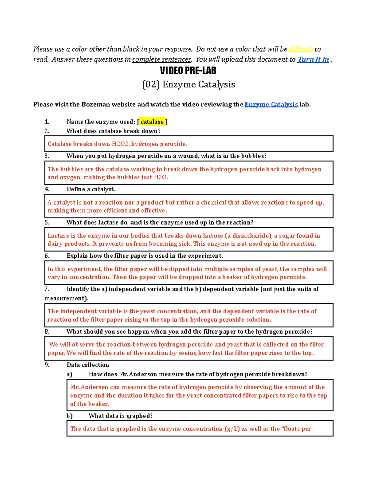 Enzyme Catalysis Lab Notes (BIO 101) - Studocu