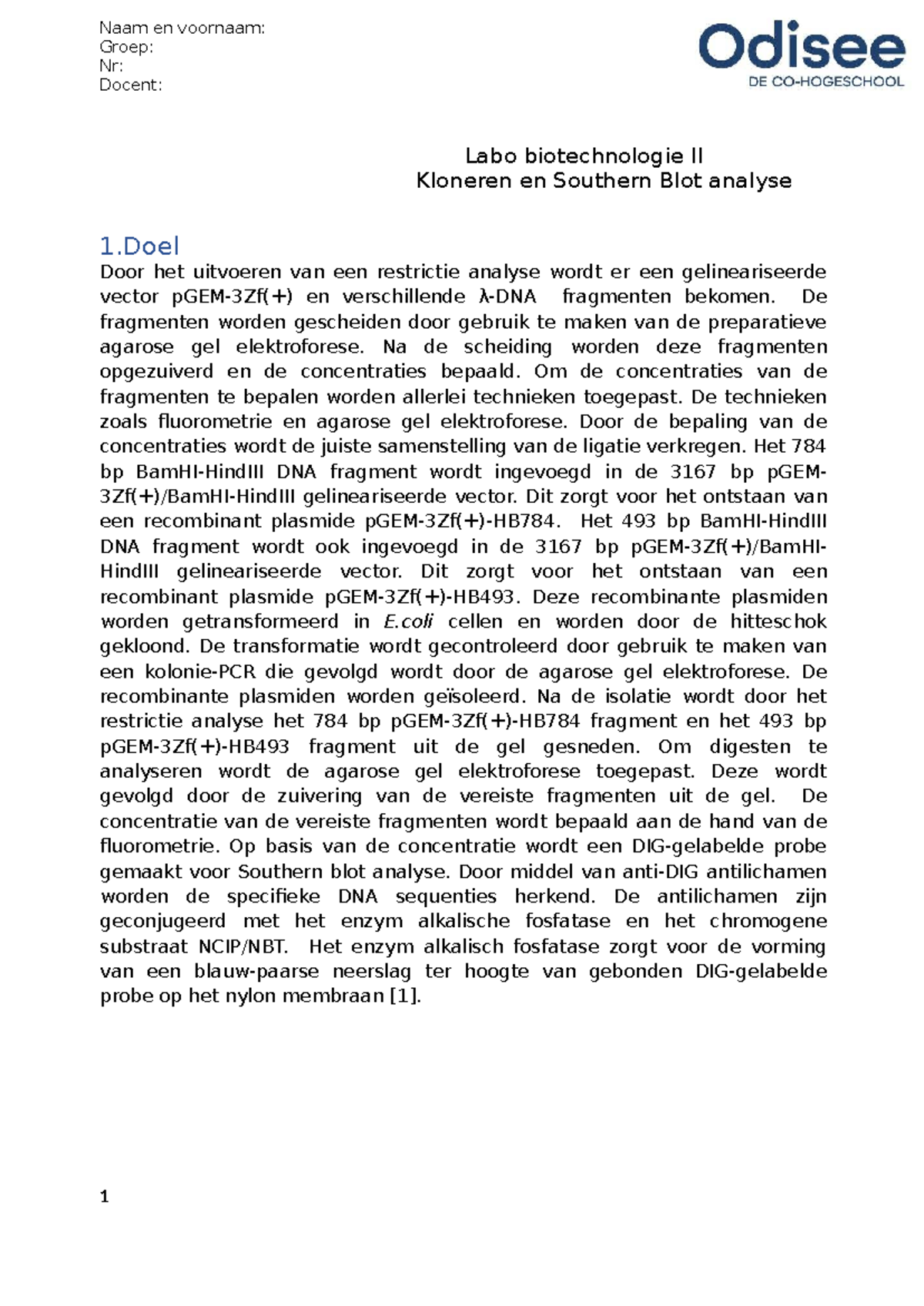 3FBT Labo Biotechnologie II - Kloneren en Southern Blot Analyse Verslag ...