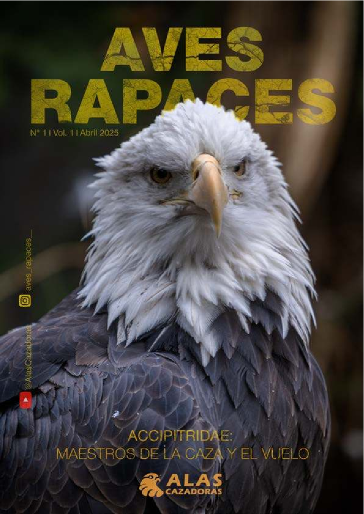 Revista Aves: Accipitridae y la Conservación de Aves Rapaces - Studocu