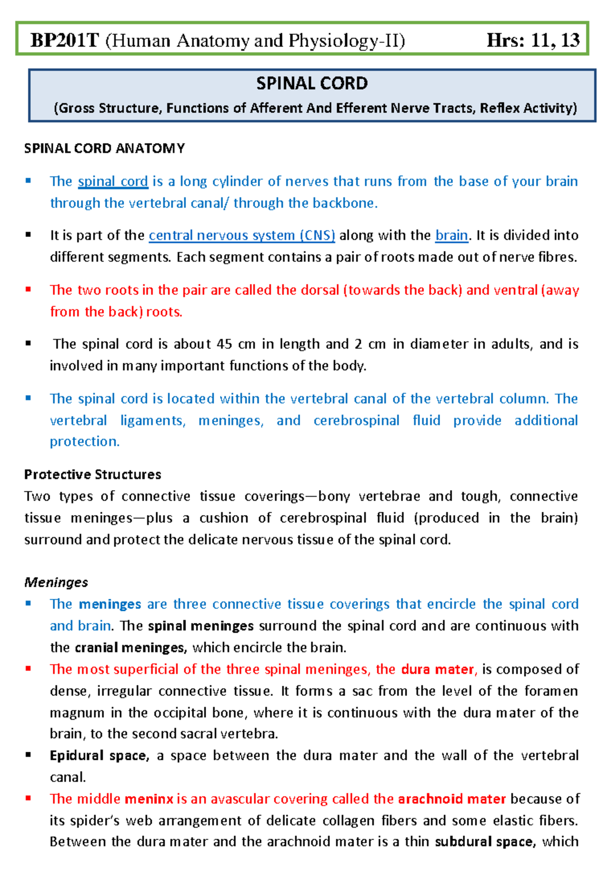 Notes On Anatomy And Physiology The Spinal Ligaments