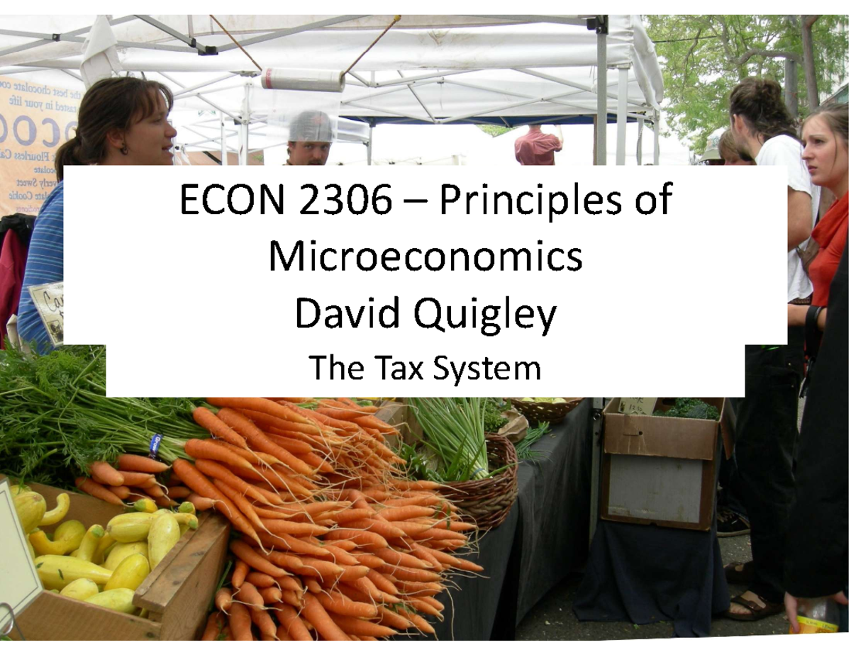 ECON 2306: Lecture Notes on Taxation Principles and Efficiency - Studocu