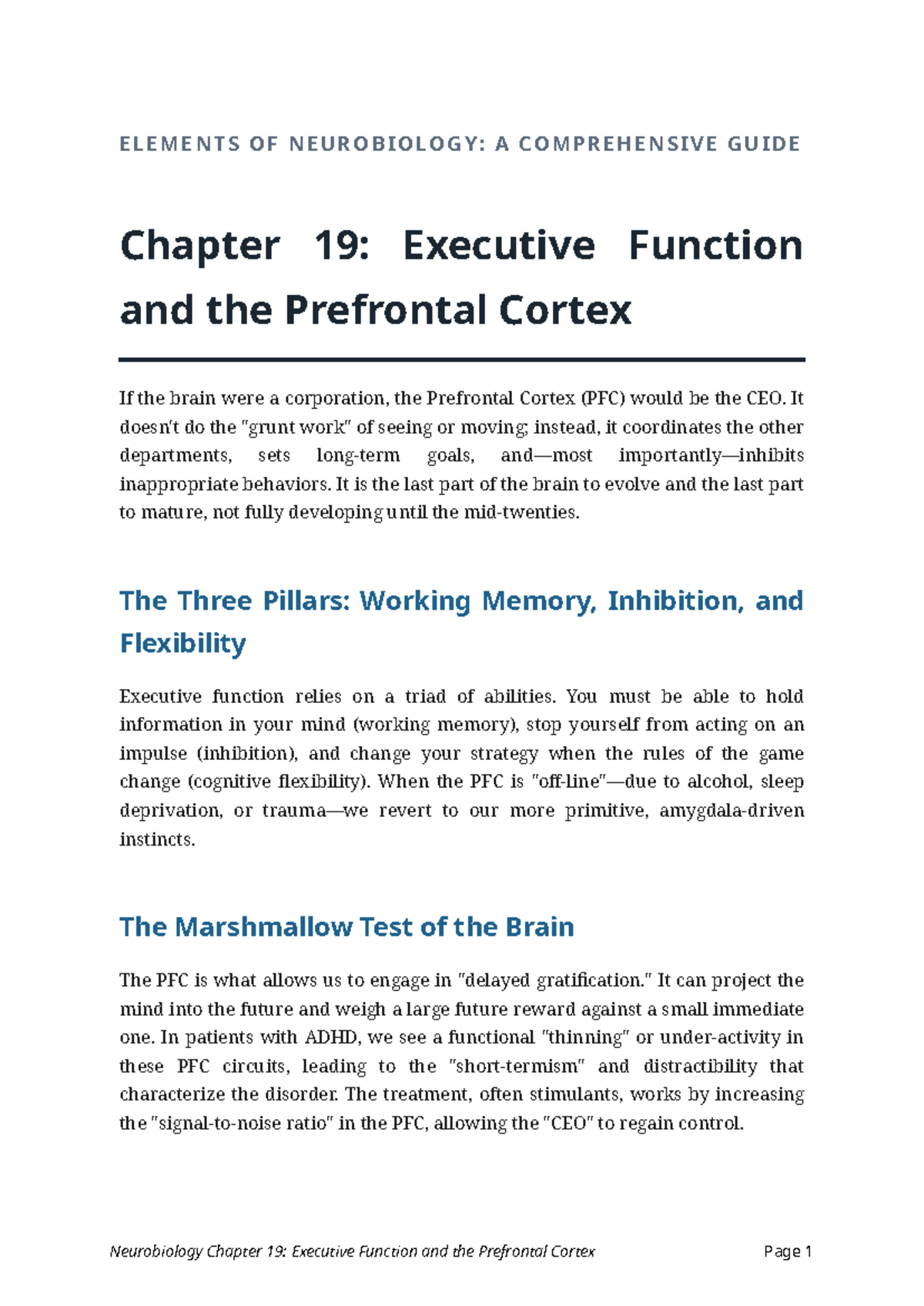 NEUROBIOLOGY 101: Chapter 19 - Executive Function & Prefrontal Cortex ...