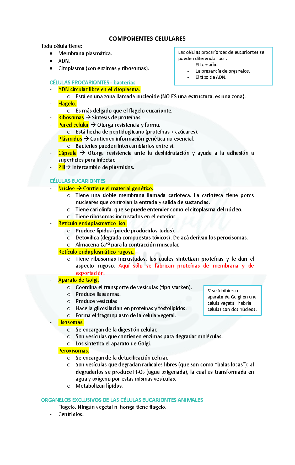 COMPONENTES CELULARES: Células Procariontes y Eucariontes - Studocu