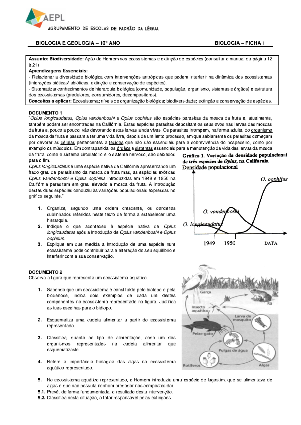 Biol FT1 Ficha de Estudo sobre Biodiversidade e Ecossistemas - Studocu