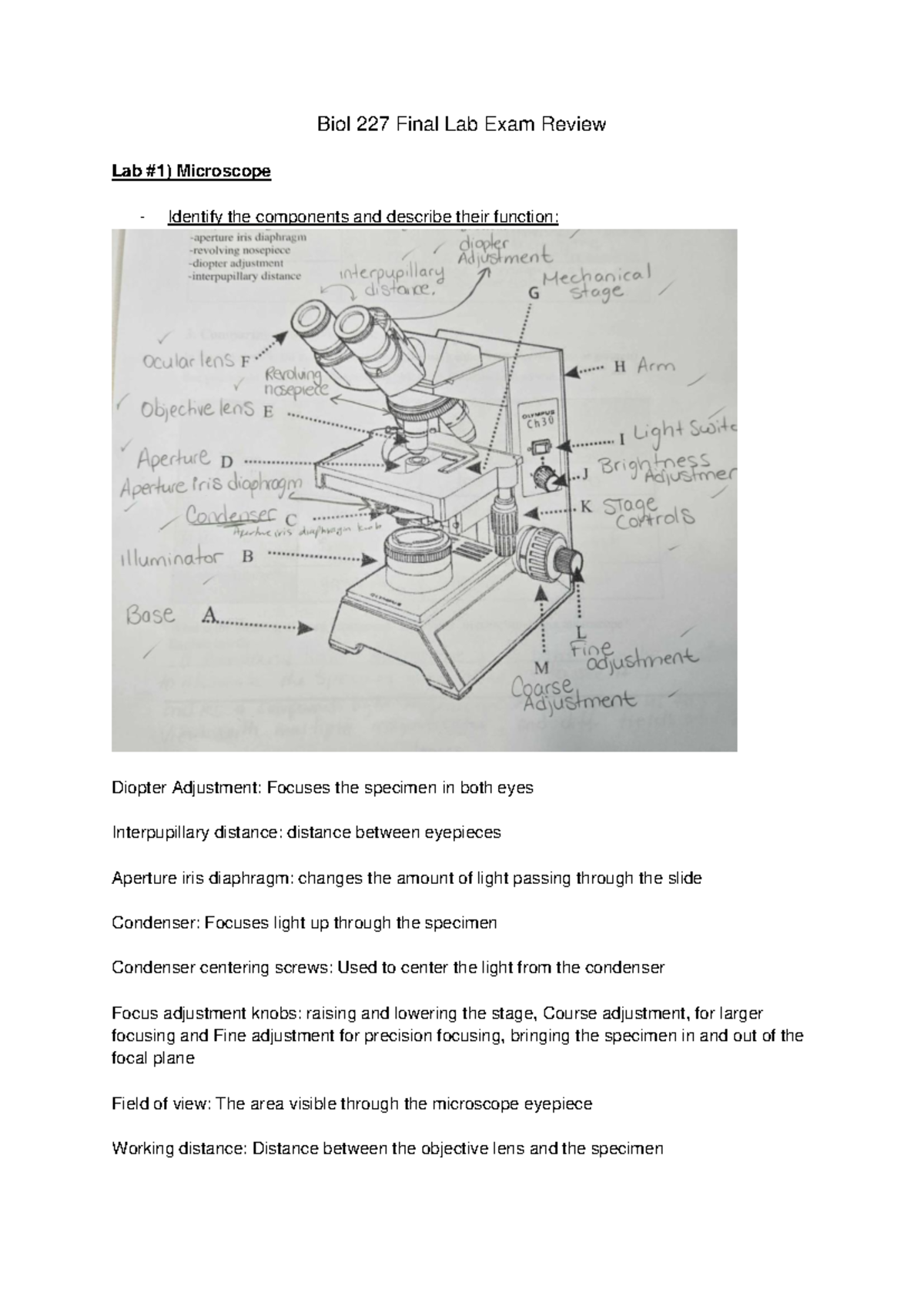 Biol 227 Final Lab Exam Comprehensive Review Notes 2024 - Studocu