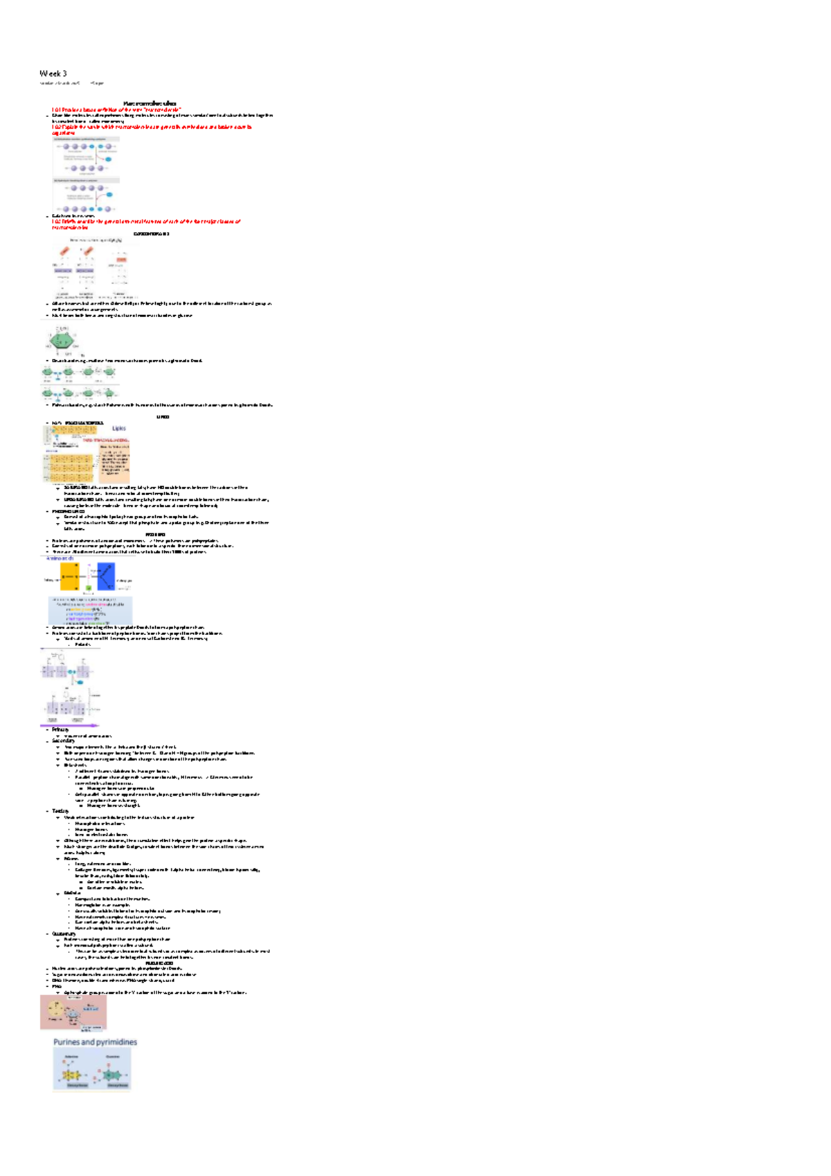 Macromolecules Overview: Week 3 Lecture Notes (BIO101) - Studocu