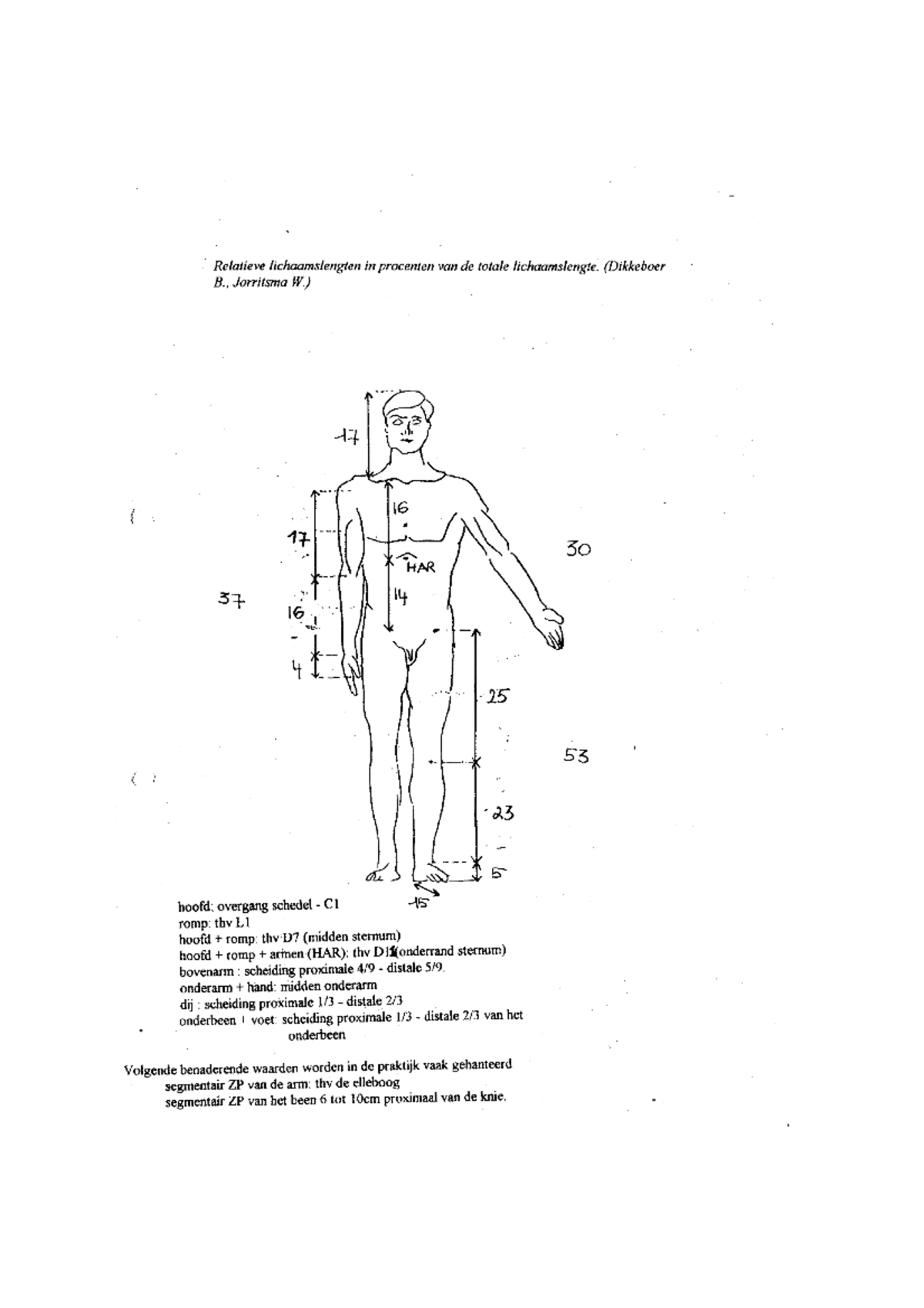 Figures on Center of Mass Distribution in Human Body Segments - Studocu