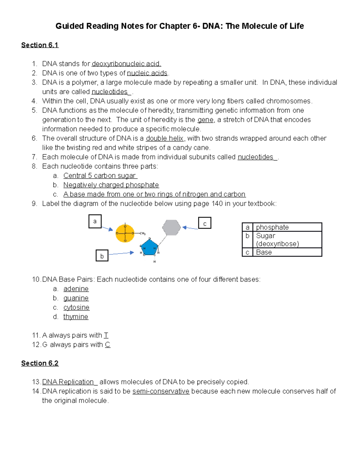 CH 6 HW Notes: DNA Structure, Function & Replication Concepts - Studocu