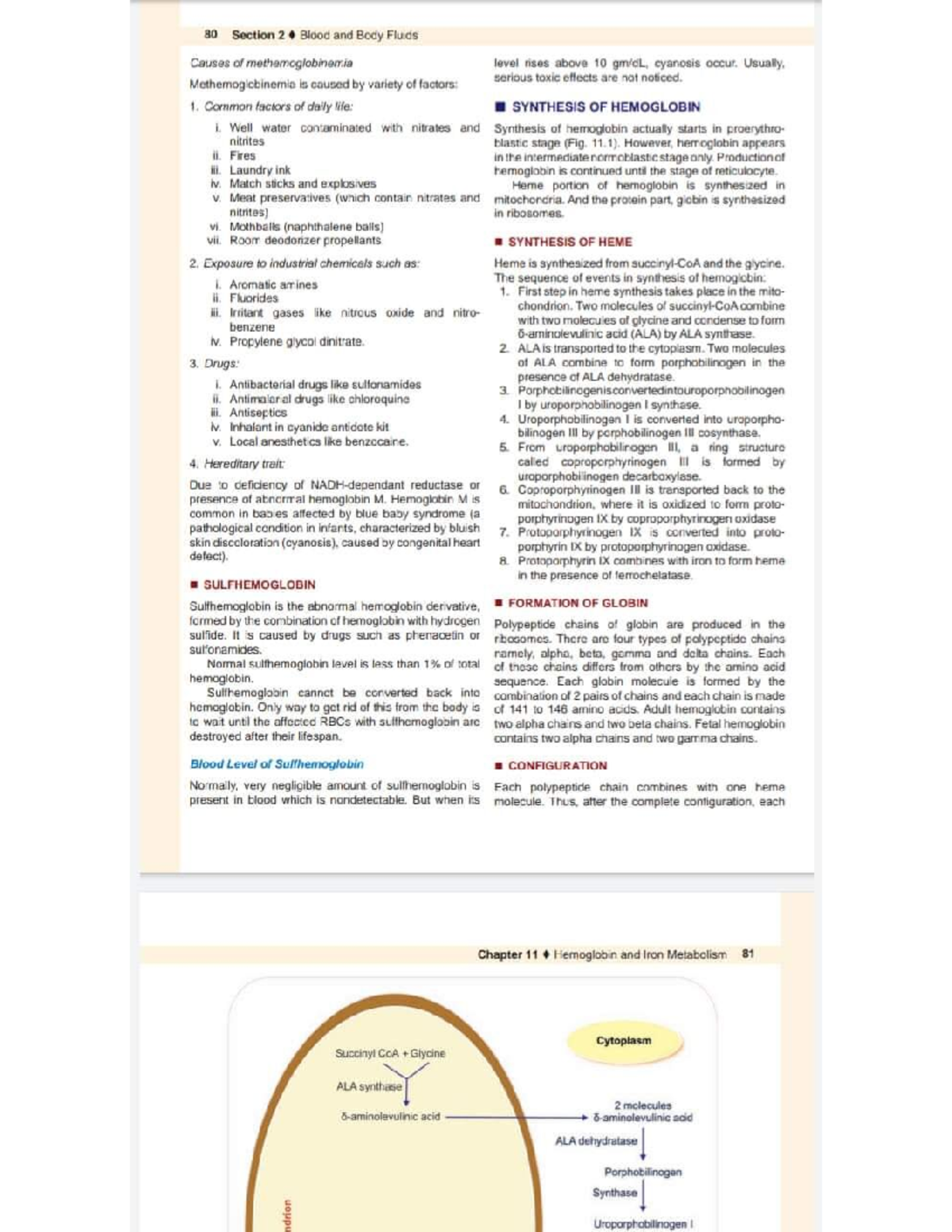 Biochemistry Study Notes: Concepts and Key Terms - Studocu