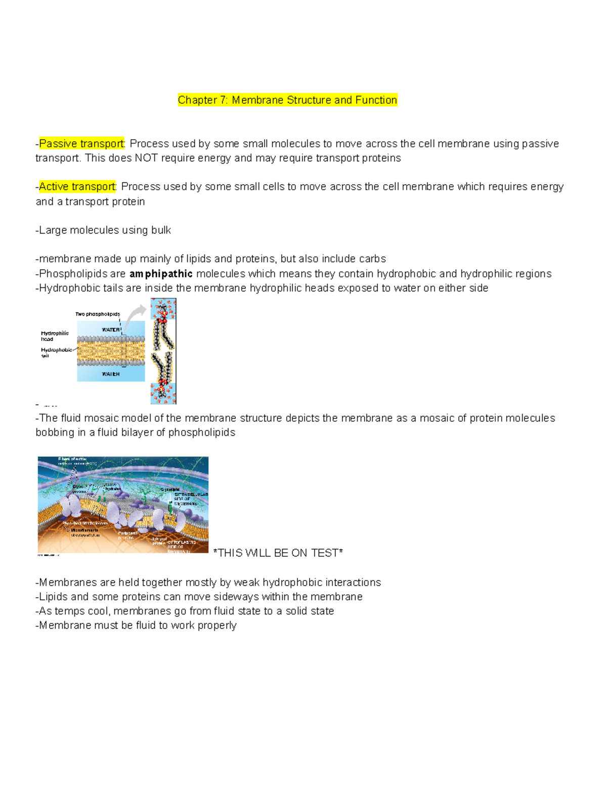 Chapter 7: Membrane Structure & Function Notes for Bio 101 Exam - Studocu
