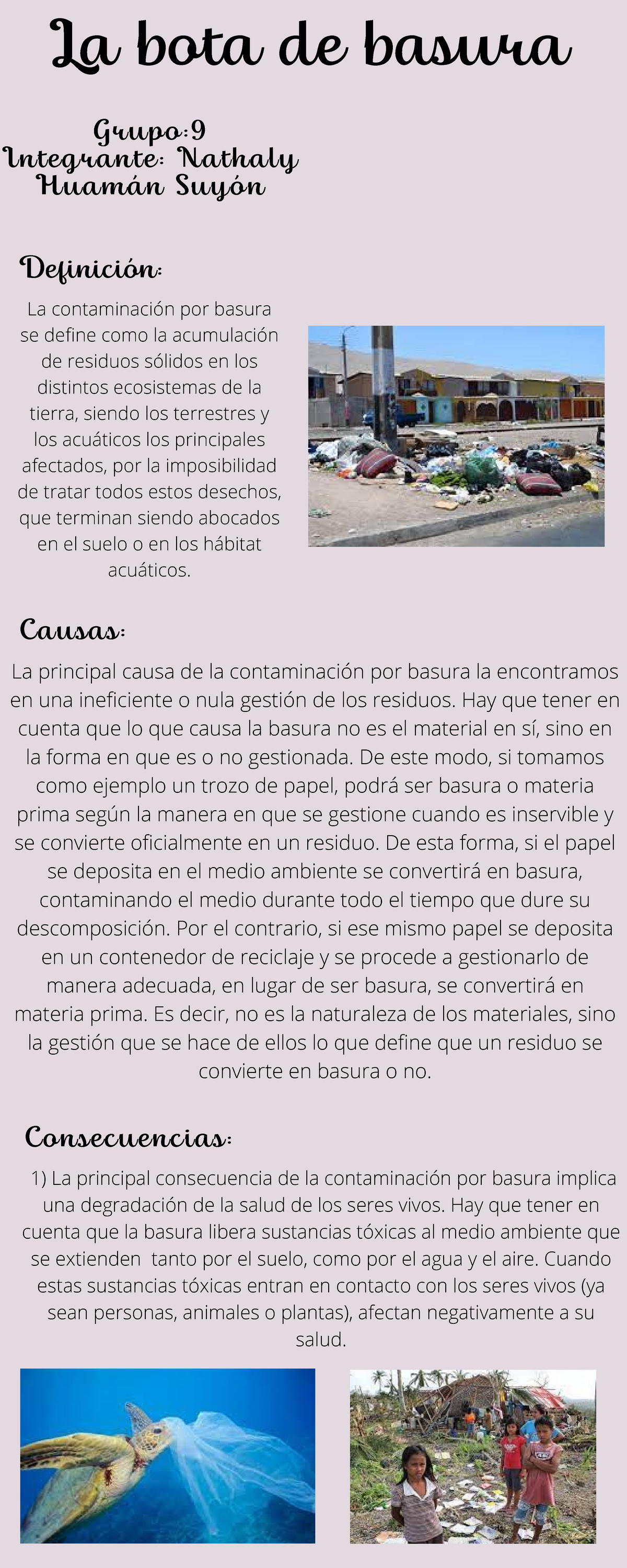 Causas y Consecuencias de la Contaminación por Basura - INFORME - Studocu