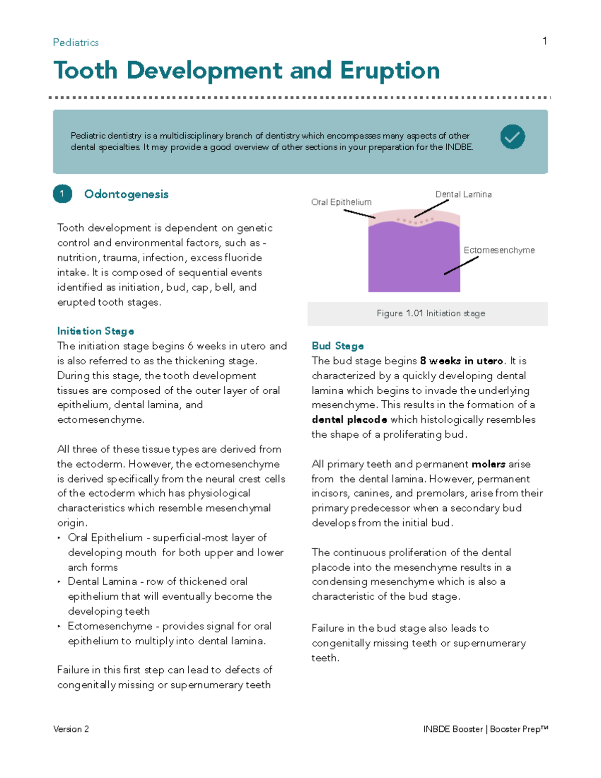INBDE Booster: Comprehensive Pediatrics Tooth Development Notes - Studocu
