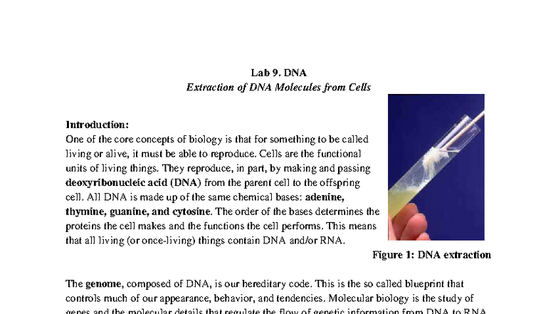 Lab 9: DNA Extraction from Biological Samples and Observations - Studocu