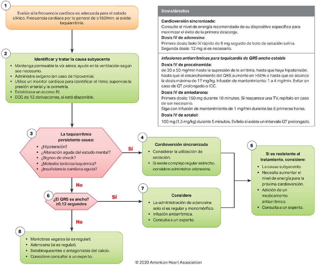 Algoritmo para el Manejo de Taquicardia en Adultos - Studocu