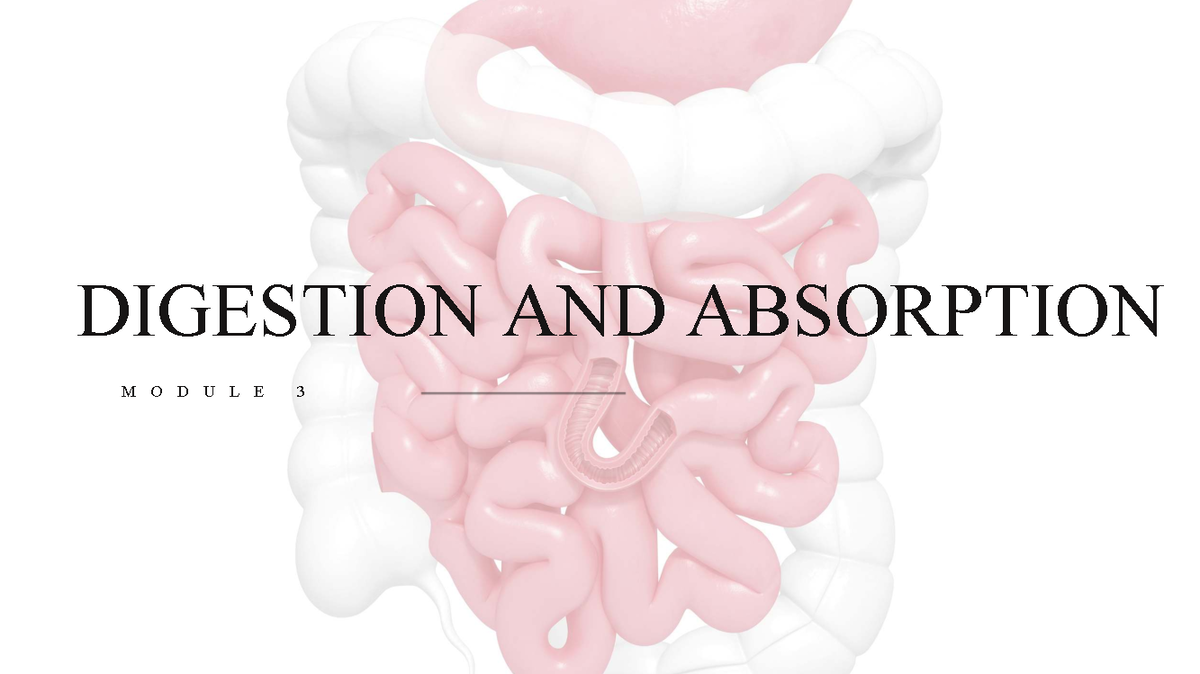 Digestive System: Module 3 - Key Concepts of Digestion & Absorption ...