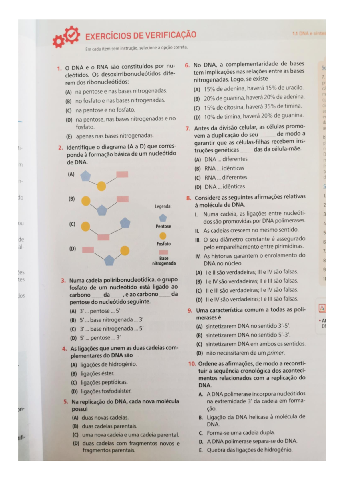 Exercícios sobre o DNA e RNA - Biologia e Geologia - Studocu