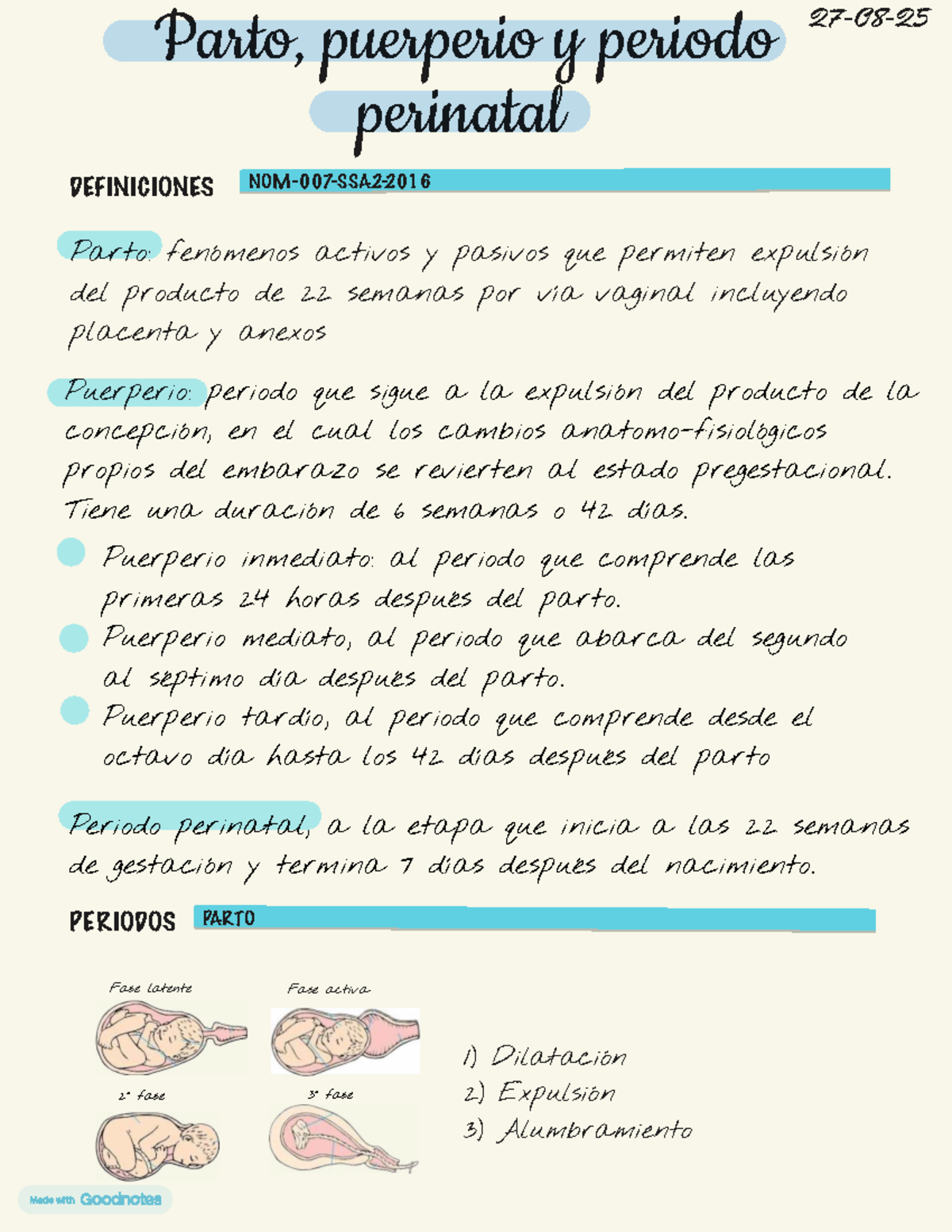 Parto, Puerperio y Periodo Perinatal: Definiciones y Fases Clave - Studocu