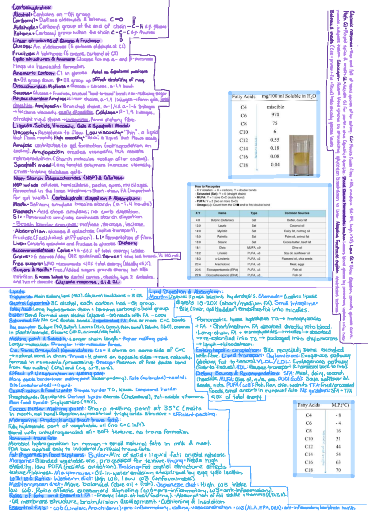 Cheat Sheet: Lipid Transport & Fatty Acid Metabolism (BIO 101) - Studocu