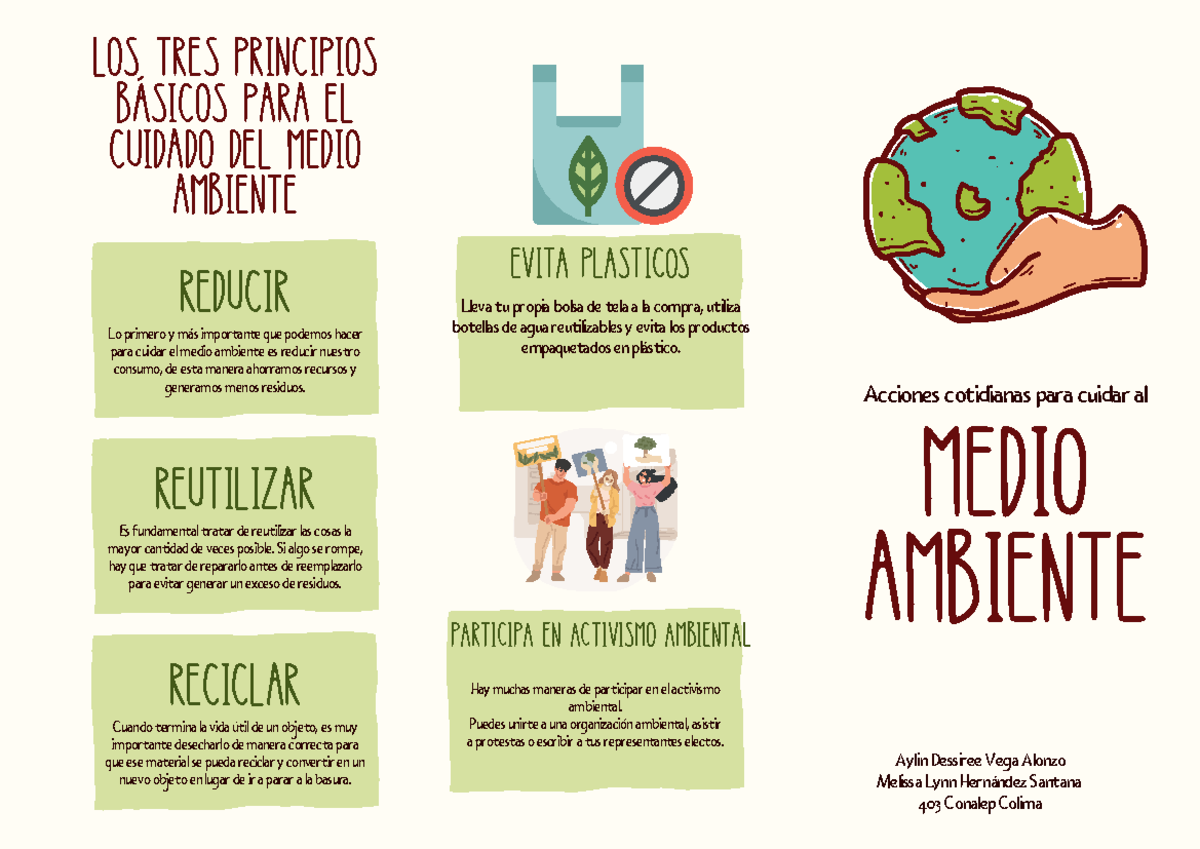 Folleto Tríptico: Cuidado del Medio Ambiente y Acciones Clave - Studocu