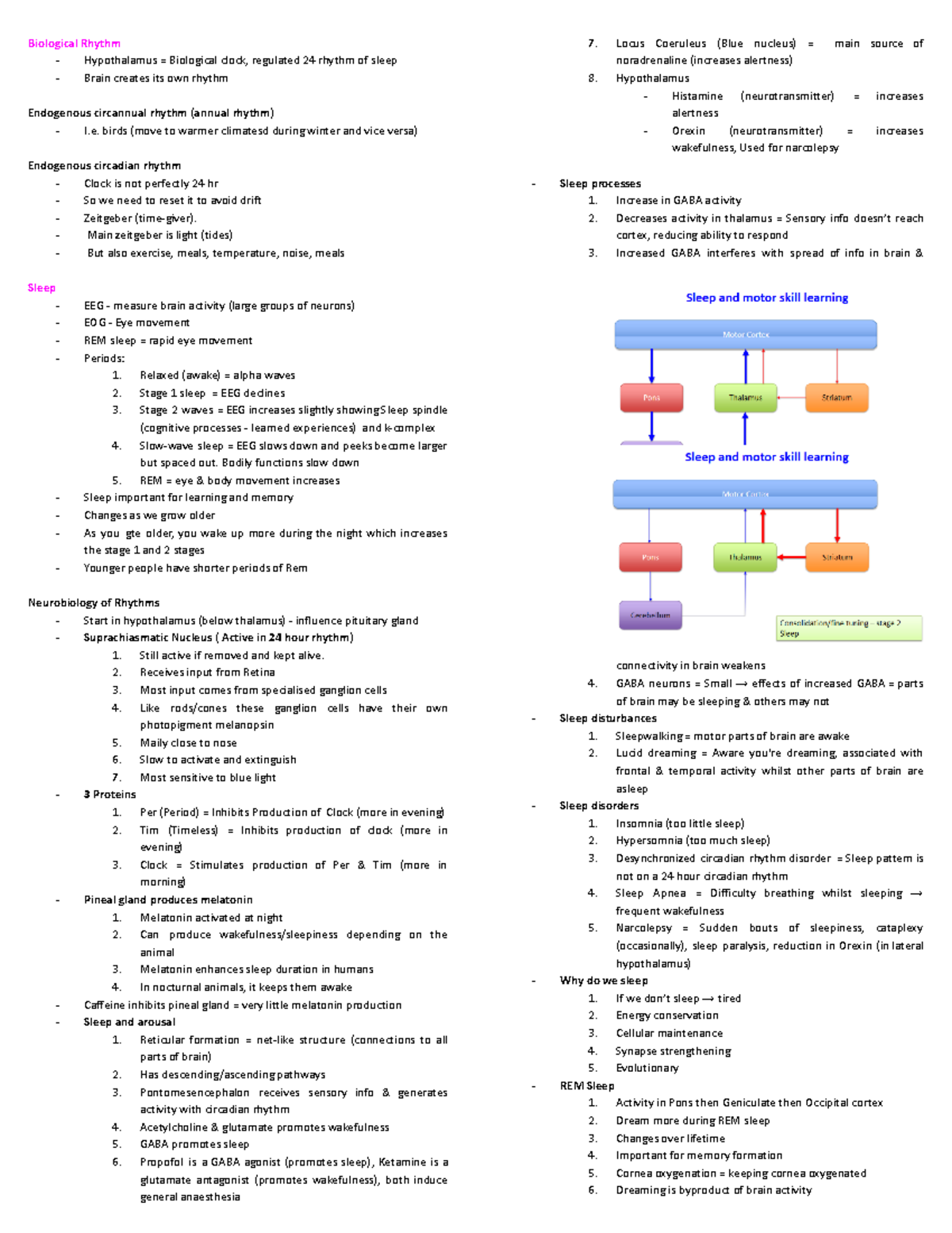 Test Notes - Summary Brain and Behaviour - Biological Rhythm ...