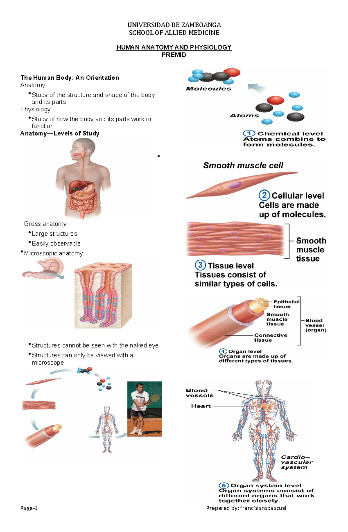 Anatomy and Physiology (HAP 101) Introduction Lecture Notes - Studocu