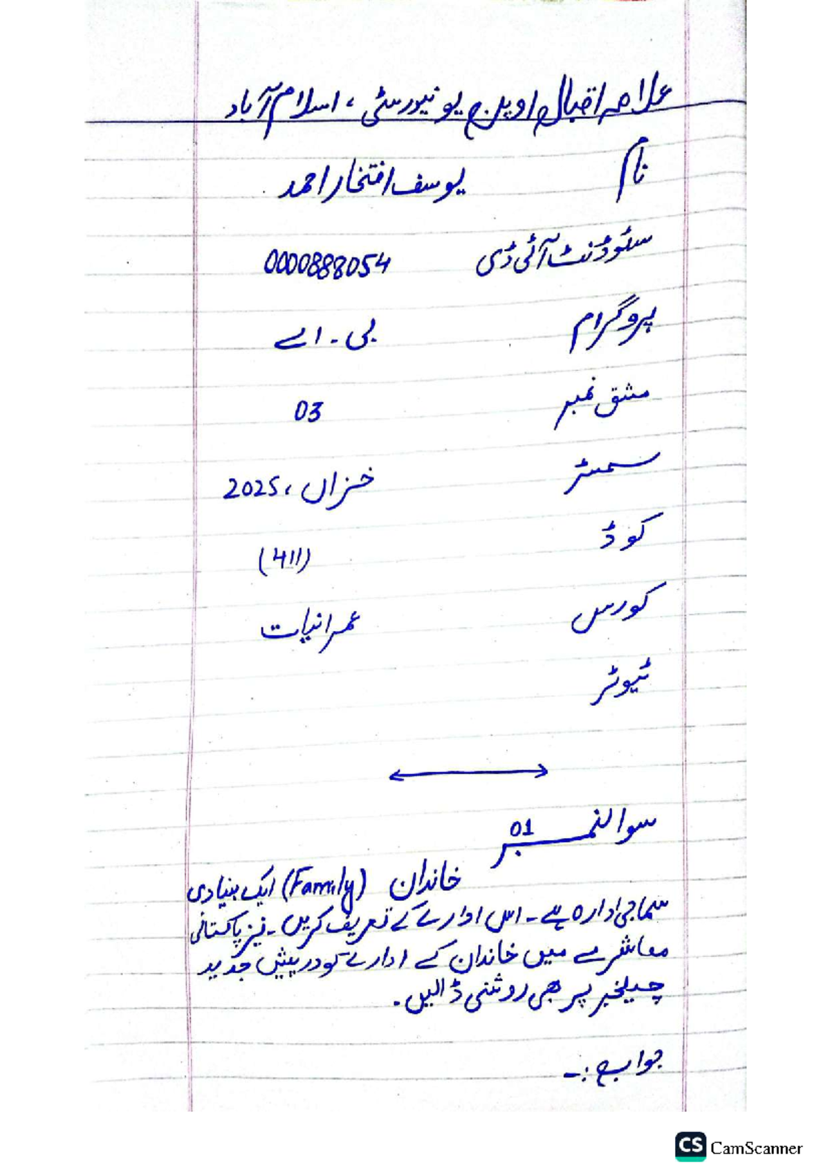 B.A. Assignment: Analyzing Social Capital Influences (411) - Studocu