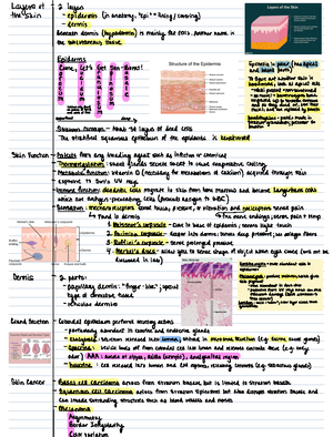 Lab 1 TA assignment - Name(s): Hannah S. Lillyv Section: 514 319 TA ...