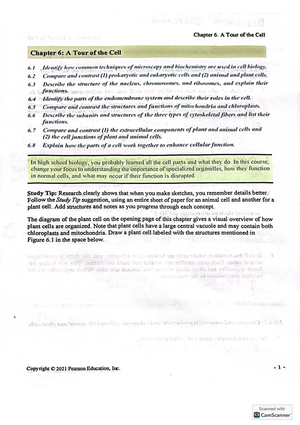 Final+Exam+ + Study+ Guide+%28+Ch+1-+10%29 - Study Guide: Chapter 1 ...