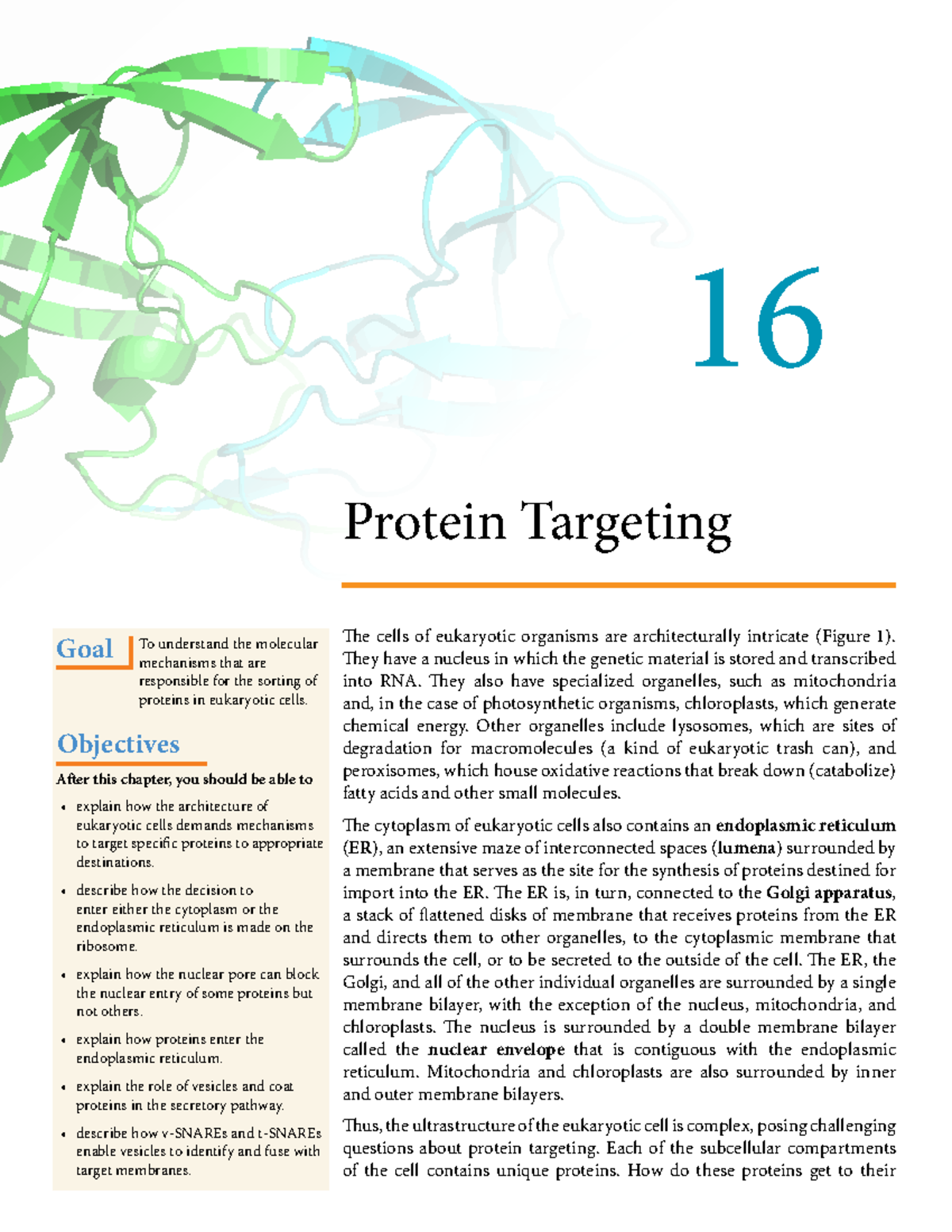 Cell Signaling Primer: Key Mechanisms of Protein Targeting in ...