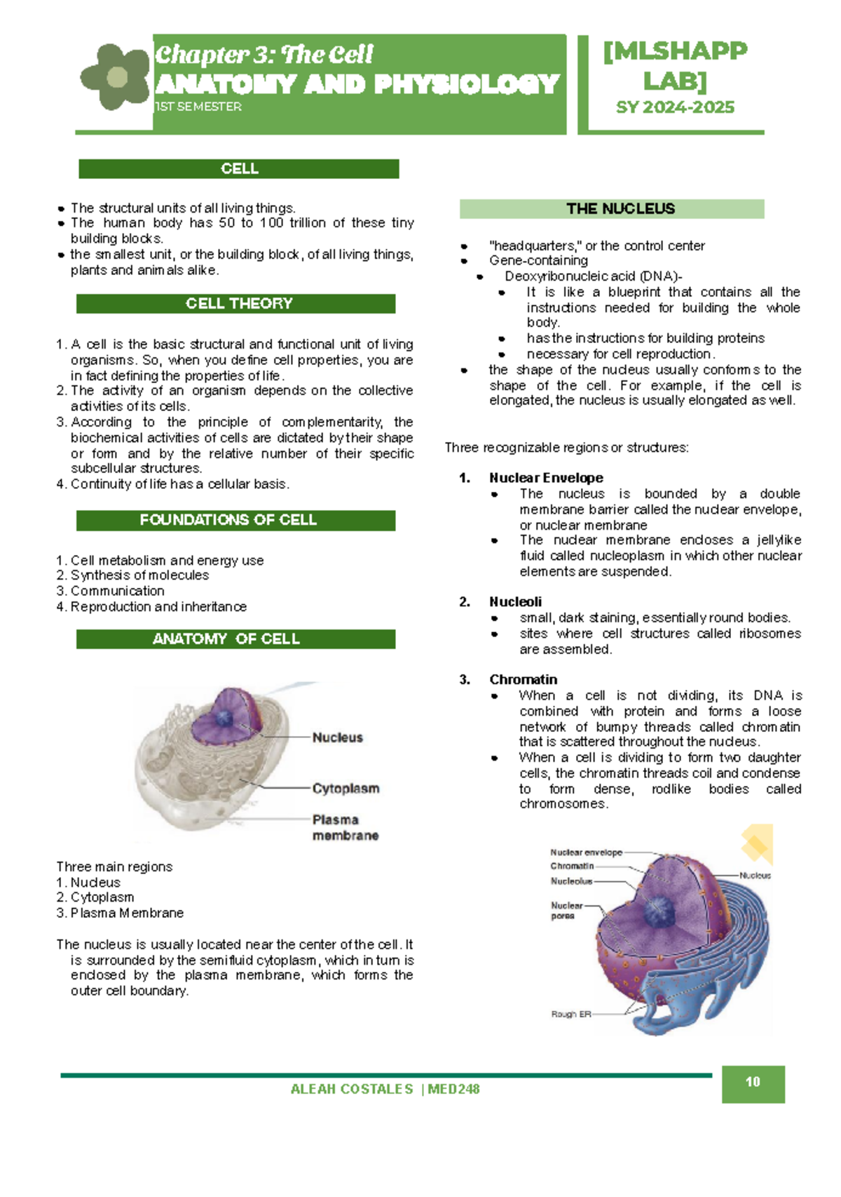 Chapter 3: The Cell - Anatomy & Physiology (MED248) - Studocu