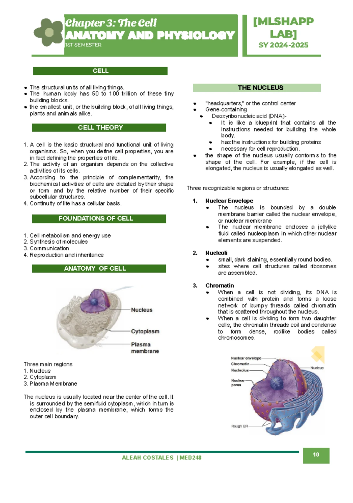 Review Questions with Answers pt2 on the Human Body an Orientation ...