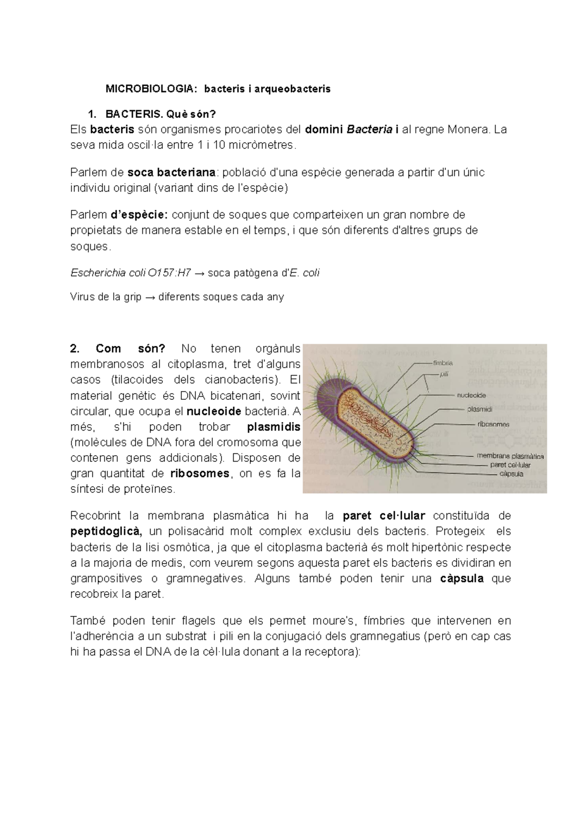 MICROBIOLOGIA: Bacteris i Arqueobacteris - Conceptes Clau i ...