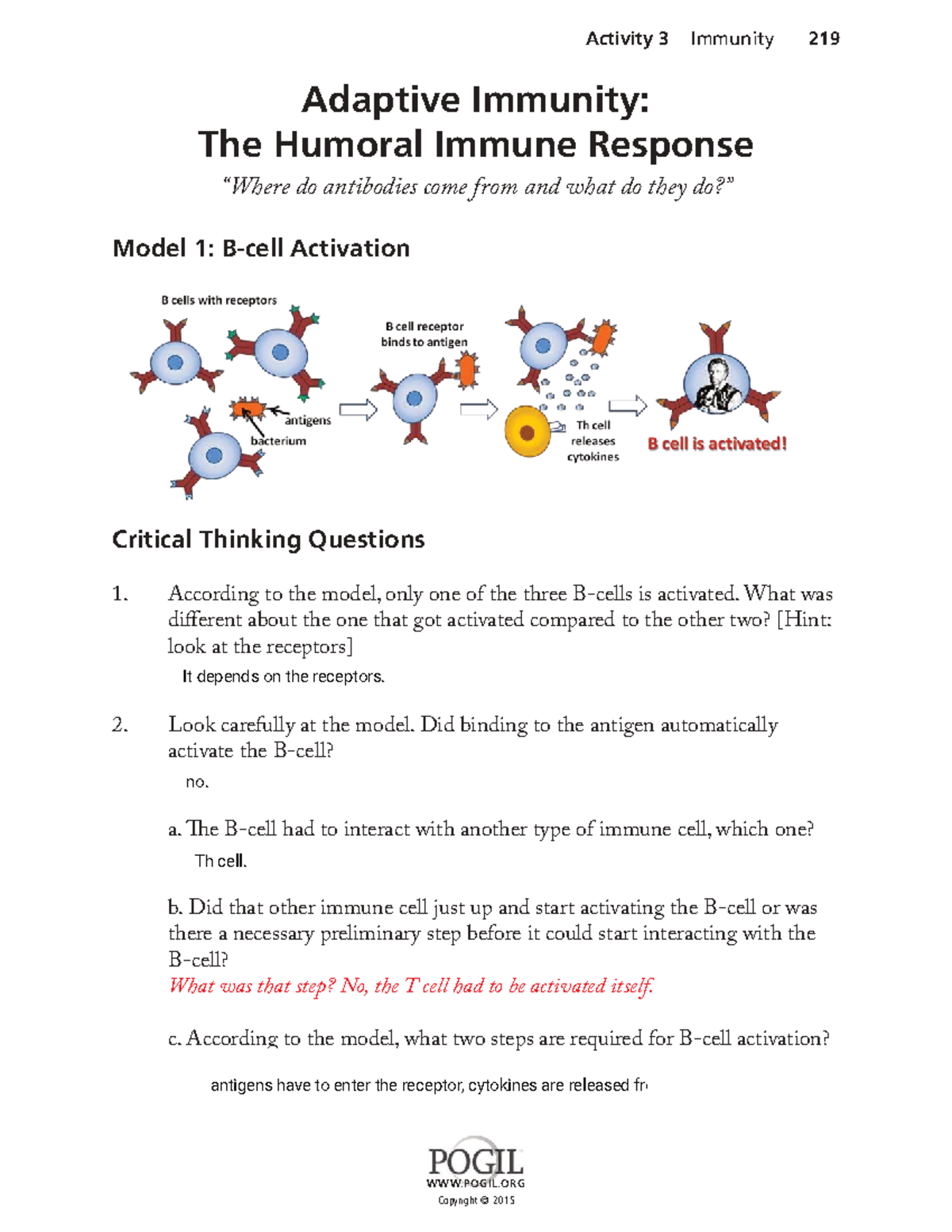 Adaptive Immunity: The Humoral Immune Response - Study Guide - Studocu