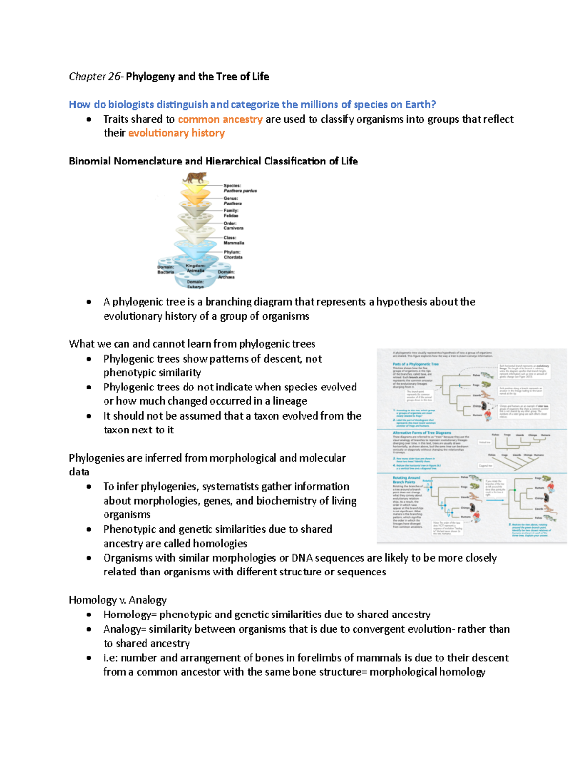 Bio notes chapter 26 - Chapter 26- Phylogeny and the Tree of Life How ...