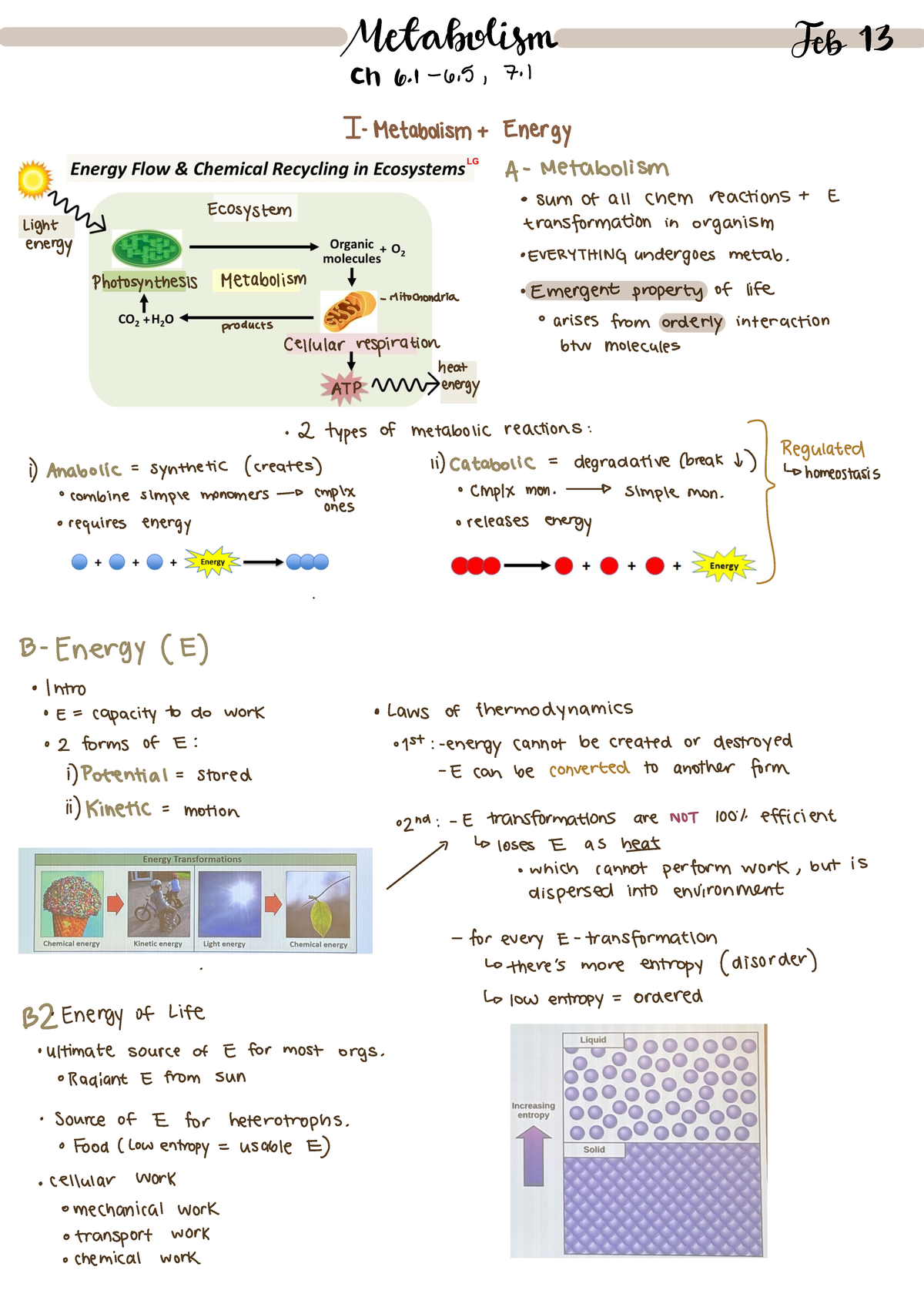 Bio 2:13 Metabolism Overview: Energy Flow & Chemical Reactions - Studocu