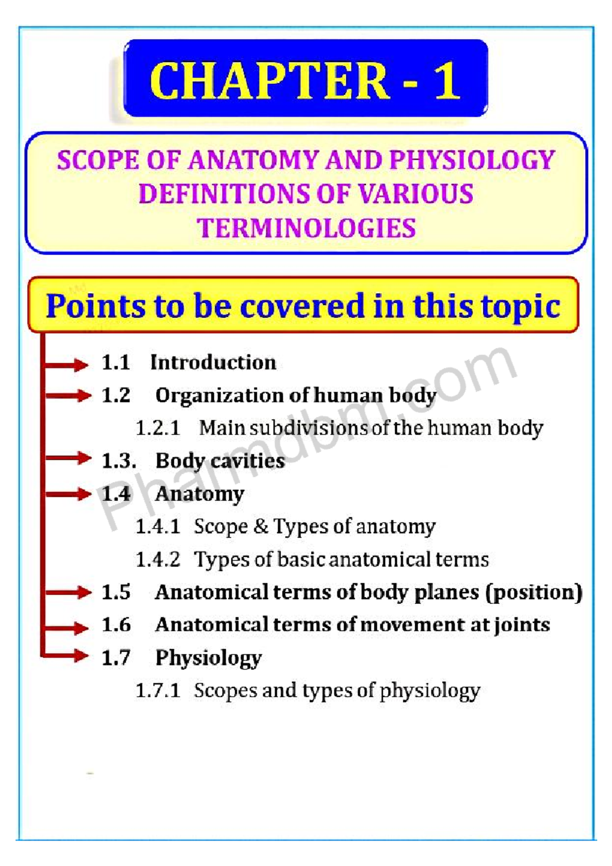 Human Anatomy & Physiology (B45) - Chapter 1 Overview - Studocu