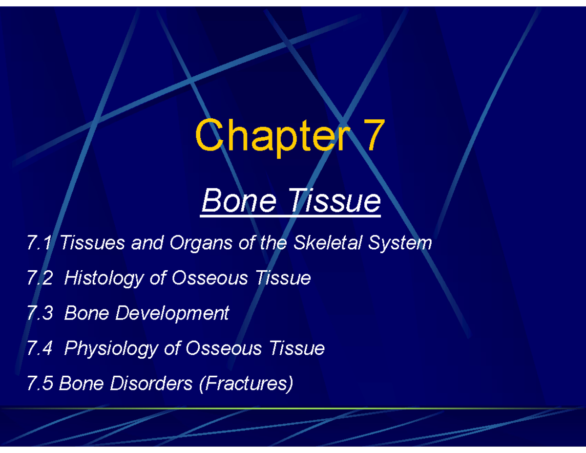 Chapter 7: Bone Tissue Overview and Quiz Questions - Studocu