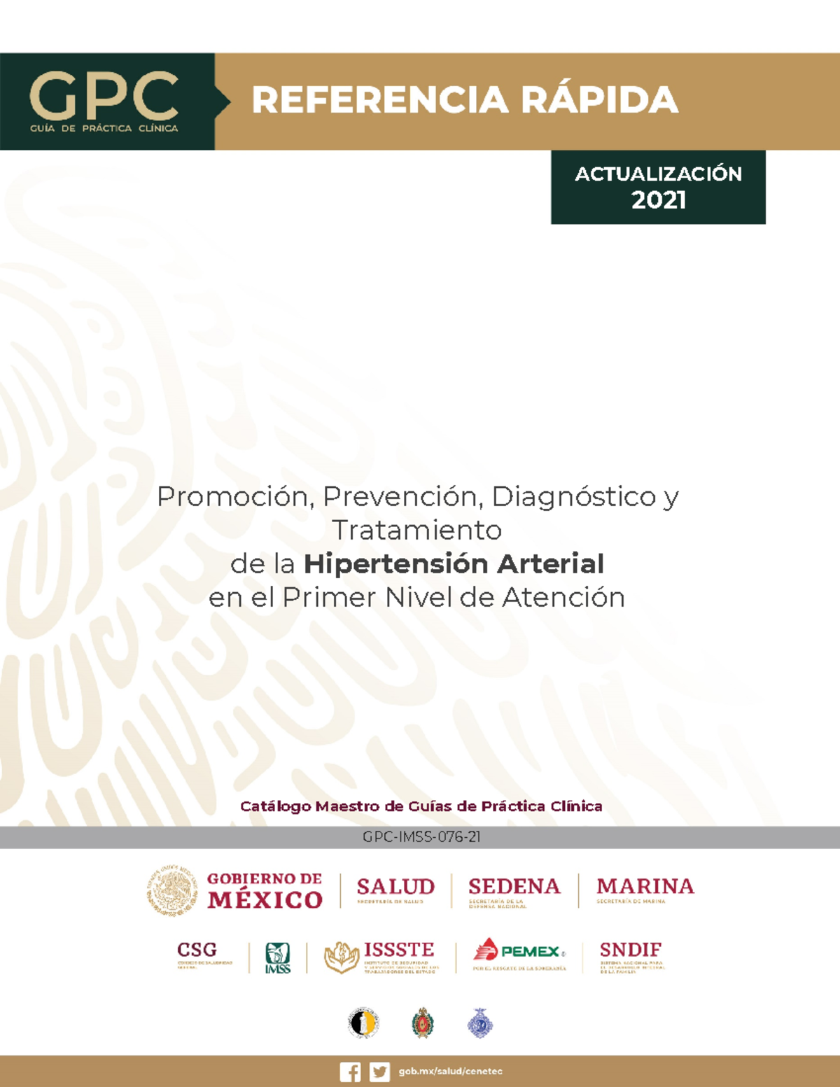 Guía de Práctica Clínica: Hipertensión Arterial en el Primer Nivel de Atención (GPC-IMSS-076-21) - Document Preview